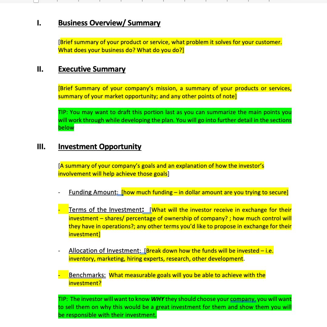 Business Plan for Investor Pitch